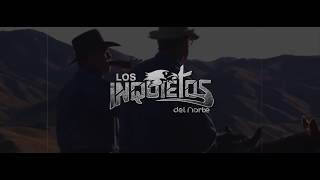 Los Inquietos del Norte  Una Mas Y Nos Vamos Video Lyric [upl. by Ahtnams]