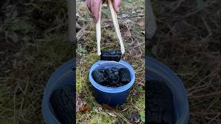 Amazing Hack How to Make an EcoFriendly Fire Starter with Charcoal camping lifehacks [upl. by Secor588]