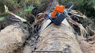 Holzforma G466 “stihl ms460 clone” 25in break in Second Tank of fuel [upl. by Retsevlis]