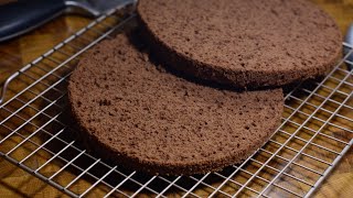 Fast recipe Chocolate sponge cake Castella Cake gluten and dairy free  green buckwheat rice [upl. by Sokcin]