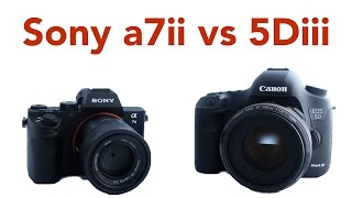 My top 5 reasons the Sony a7ii is better than the Canon 5Diii [upl. by Ayikan]