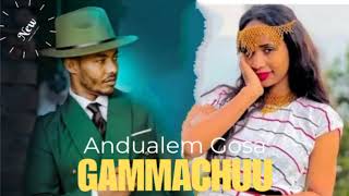 GAMMACHUU  ANDUALEM GOSA NEW OROMO 🎶 2024 [upl. by Luane]