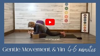 Gentle Movement amp Yin  46 minutes [upl. by Annyrb]