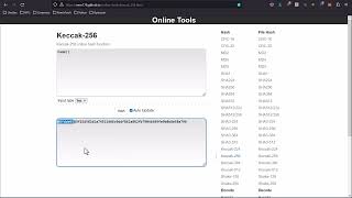 Web3 Hacking in Python  0x06  Automating our Disassembly and Bytecode Function Brute forcing Pt2 [upl. by Behre91]