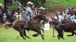 National Championship Chuckwagon Races  2020 Intro [upl. by Godred171]