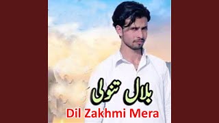 Challa Mera Ji Dhola [upl. by Edveh]