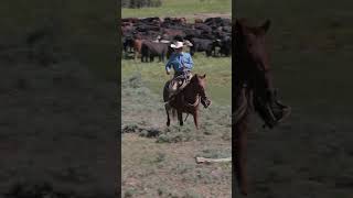 Stockmanship is key guys Learn more at httpsmembers310ranchlifecom ranchlife [upl. by Eide]