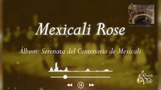 Mexicali Rose  Rondalla Del Valle [upl. by Ynnob]