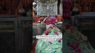 New mira datar dargah qawwali video 2024 WhatsApp status [upl. by Nedgo]