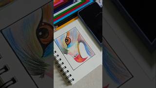 Easy color pencil drawing for beginners shorts [upl. by Ajan]