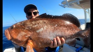 Florida Red Grouper Fishing Regulations for 2024  How to Find amp Catch Red Grouper [upl. by Downes183]