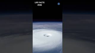 556 From Numbers to Names Unveiling the History of Hurricane Naming [upl. by Lashonda]