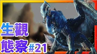 【魔物獵人世界MHW】生態觀察21炎妃龍炎王家的小8點檔ftSong Yi配音 [upl. by Dillie987]