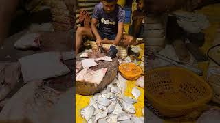 Pata Fish Cutting at Andaman Fish Market moveonroad Fish fishing fishcutting travel tour [upl. by Natasha960]