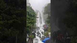 amboli waterfall [upl. by Alhan228]