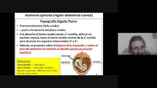 Región abdominal continuación parte 2 [upl. by Hiram]