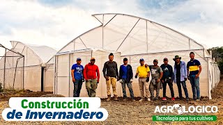 Construcción e instalación exitosa de invernadero para cultivar hortalizas [upl. by Enomor]