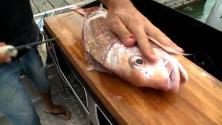 How to fillet a fish easily [upl. by Uta74]