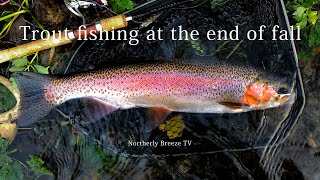 【 4K Trout fishng at the end of fall 】秋はデカニジの季節 [upl. by Yur515]