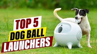 Top 5 Dog Ball Throwers for Endless Fun [upl. by Arahsat131]