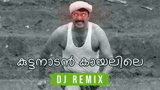 Kuttanadan Kaayalile  Kaazcha DJ Astronix Remix • Malayalam Remix 2023 [upl. by Yerocaj]