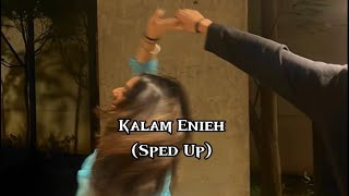 Sherine  Kalam Enieh Sped Up [upl. by Templa]