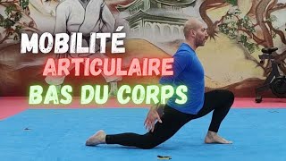 MOBILITE ARTICULAIRE BAS DU CORPS Nouvelle séance ECHAUFFEMENT pour commencer votre entraînement [upl. by Stevenson]