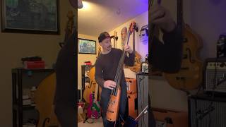 Electric Upright Bass nsdesign electric doublebass bass fun instrumental rock music shorts [upl. by Amaty]