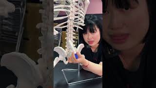 Lower Back Pain pain lowerbackpain painrelief [upl. by Reywas]