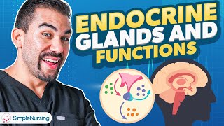 Endocrine Glands amp Functions  Parathyroidism Nursing  Made Easy NCLEX [upl. by Acimehs37]