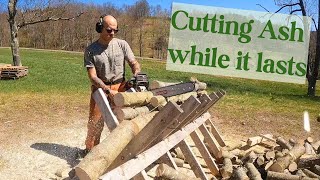 Processing Pollarded Firewood on a Sawbuck [upl. by Niotna]