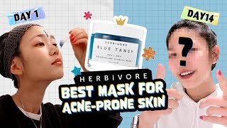 Honest Review 14 days WITH HERBIVORE Blue Tansy BHA and Enzyme Pore Refining Mask [upl. by Lebana]