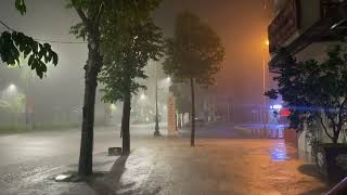 Rainforest Rain Sounds for Sleeping or Studying 🌧️ Rainstorm Sounds for Disorders Sleep [upl. by Cristobal]