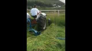 mowing with Ford 8N and refurbished 501 sickle bar mower 1 [upl. by Lienet]