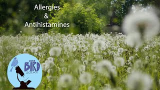 How Allergies and Antihistamines work What is competitive inhibition [upl. by Jaf]