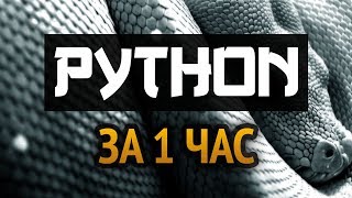 Учим Python за 1 час От Профессионала [upl. by Ennayoj]