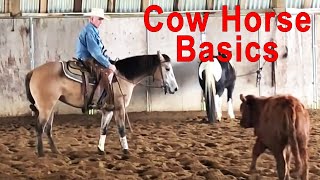 Reining amp Cow Work  How To Ruin Your Horse Before Lunch [upl. by Ginnifer]