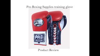 Product Review PRO Boxing Supplies Training Gloves [upl. by Akired]