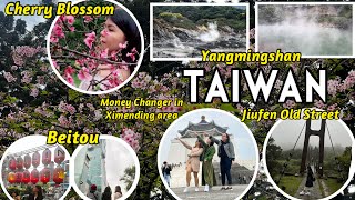 TAIWAN CHERRY BLOSSOM SEASON WITH YANGMINGSHAN BEITOU TOUR  3D2N ITINERARY [upl. by Hammerskjold]