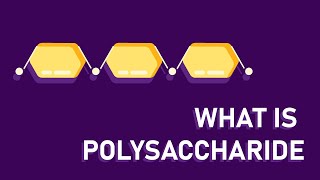 What are polysaccharides [upl. by Koralie]