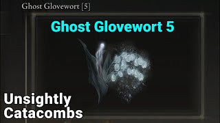 Ghost Glovewort 5 Location  Unsightly Catacombs  Elden Ring [upl. by Ydroj257]