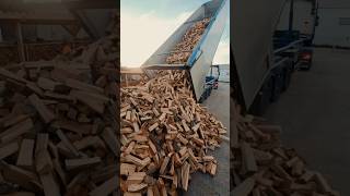 🪵🫣 Dosť bude firewood brennholz wood palivovedrevo beechwood truck dumptruck [upl. by Culbert]