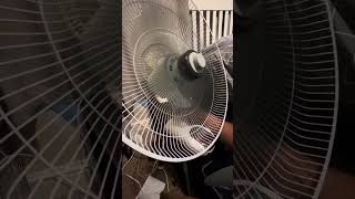 Comfort zone Pelonis wall Fan with new blade [upl. by Steele]