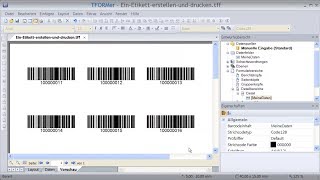 BarcodeEtiketten drucken Etikettenprogramm TFORMer Designer [upl. by Delogu275]