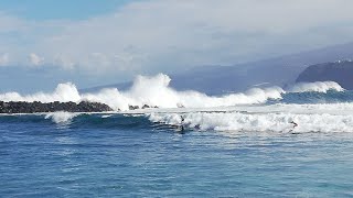 Puerto de la Cruz Teneriffa erleben  Ein Bummel durch die Stadt am Atlantik [upl. by Eilatam]