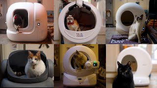 Why You Should Buy A GREAT SelfCleaning Litter Box [upl. by Gnay]