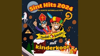 Sinterklaasje kom maar binnen [upl. by Quartis]