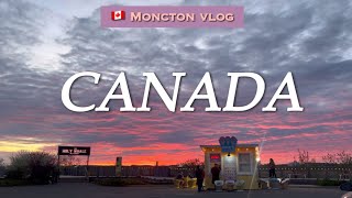 🇨🇦캐나다 몽튼 브이로그  Moncton  몽튼 일 구하기 현실 Riverview [upl. by Tram798]