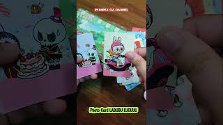 PHOTO CARD LABUBU LUCUUU youtubeshorts videoviral youtube labubu [upl. by Htebesile286]