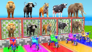 Cow Mammoth Elephant Lion Buffalo Guess The Right Key ESCAPE ROOM CHALLENGE Animals Cage Game [upl. by Jill]